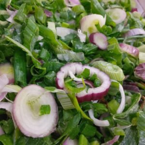 VERDEO RODAJITAS 1 KG