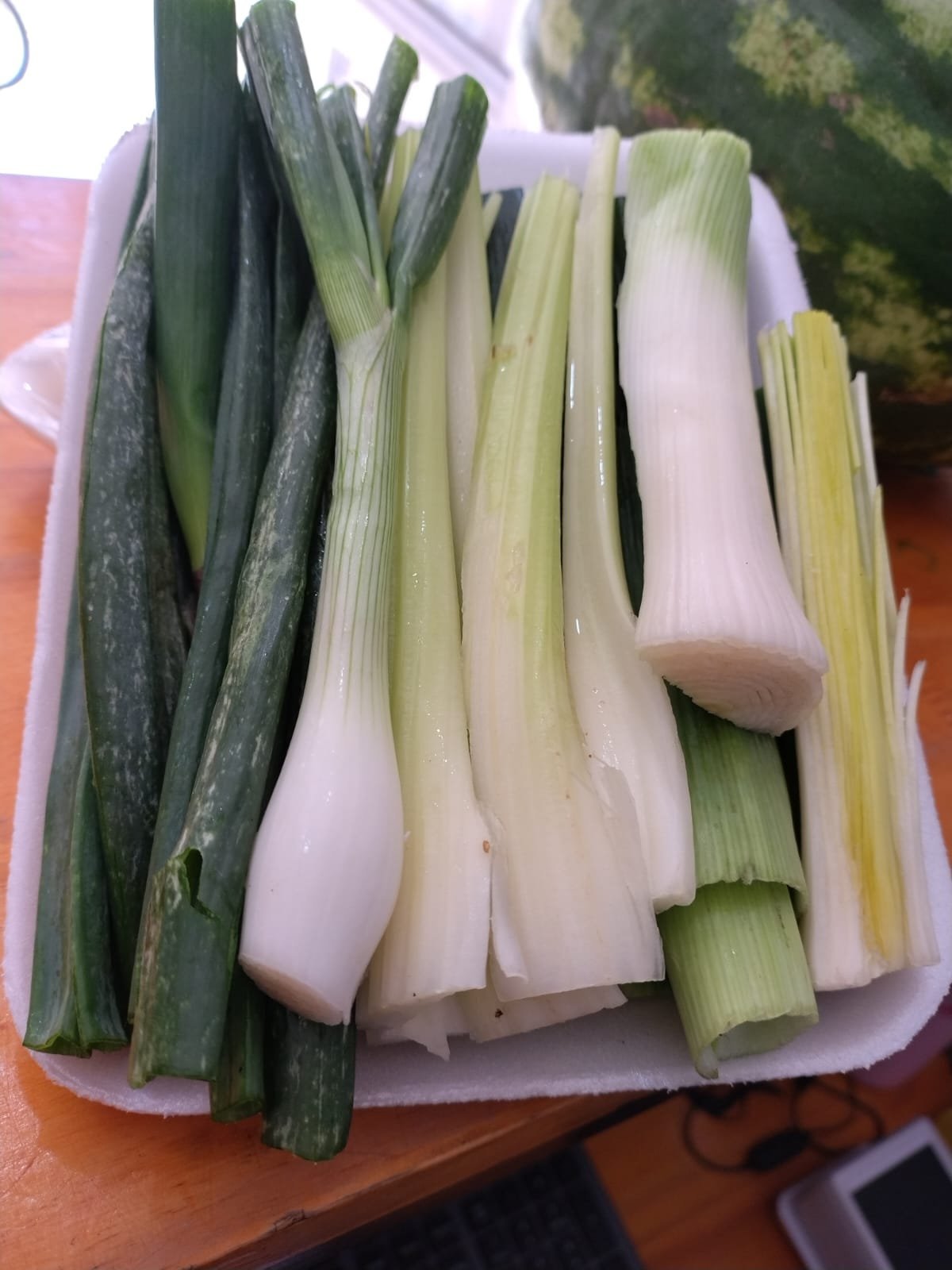 Base para Sopas y Guisos - 300 GR - - Image 2