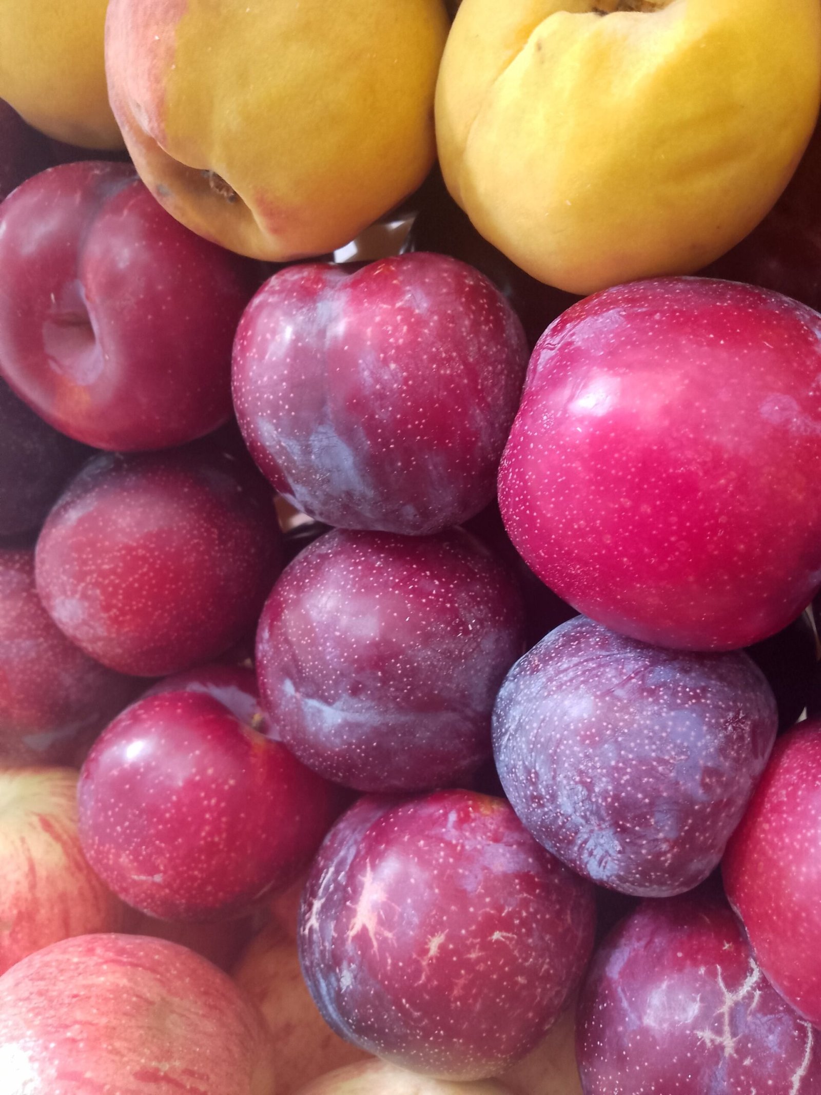 Ciruela río negro 1 k