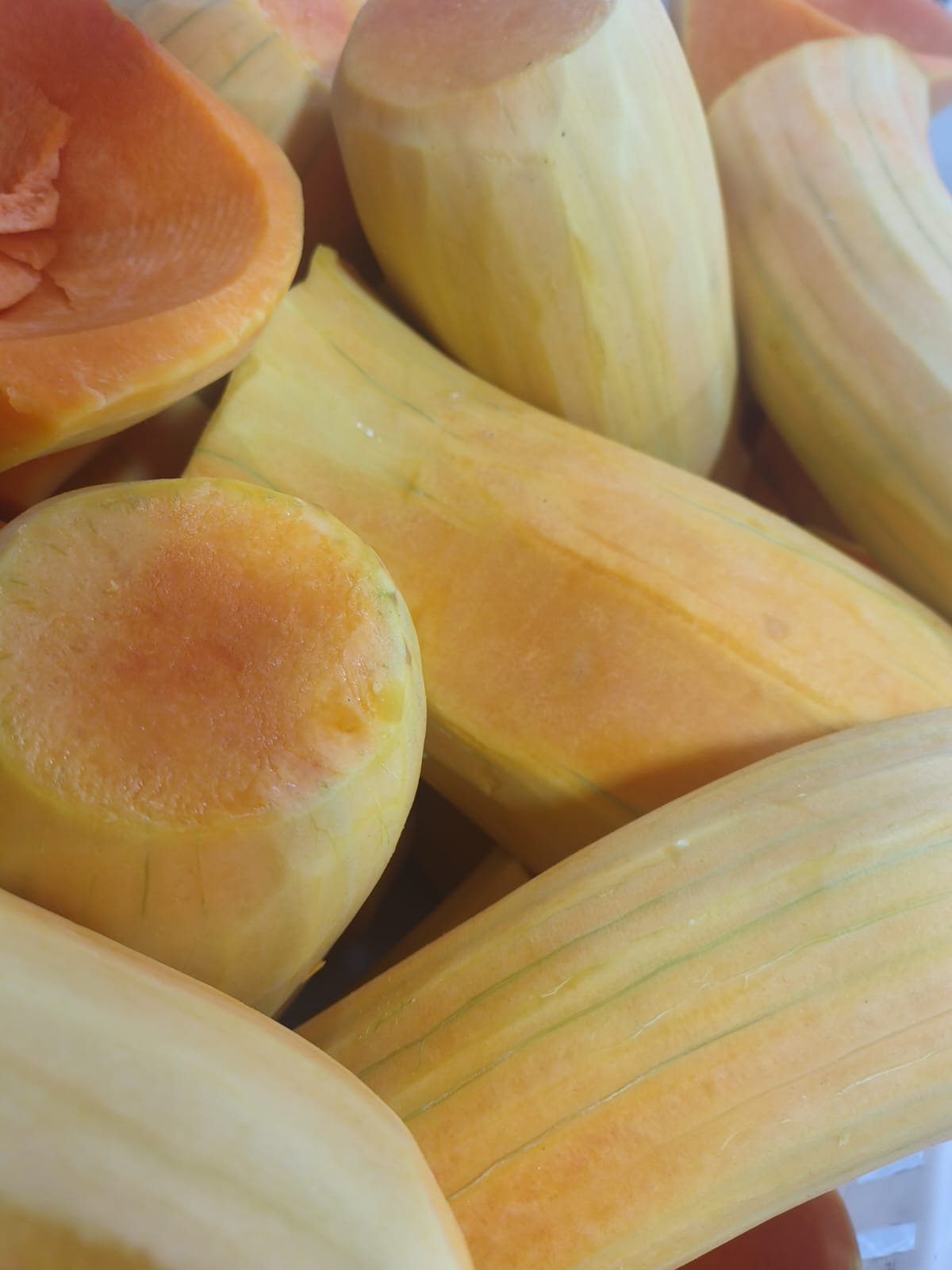 Anco Pelado - 1KG -