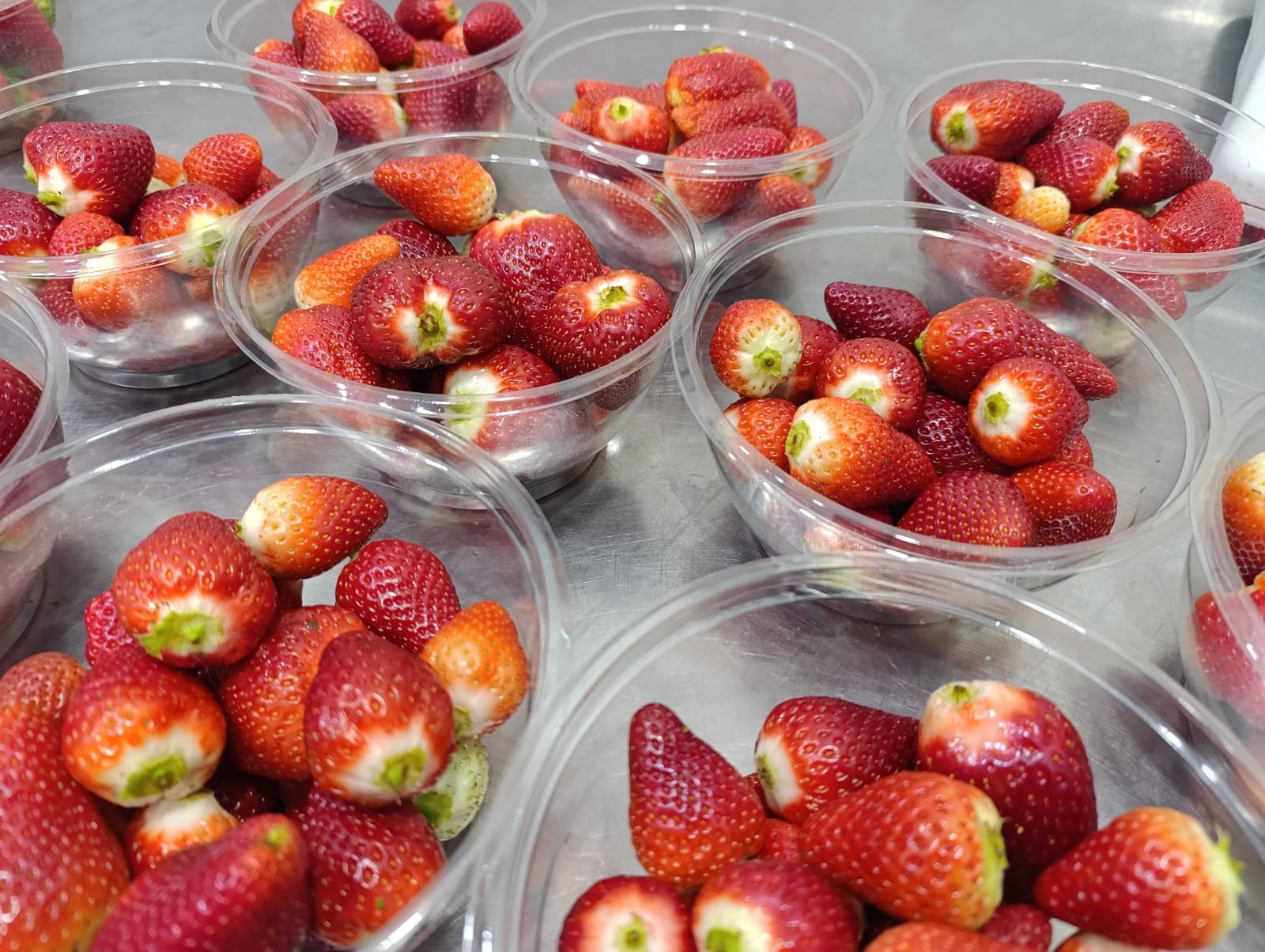 Frutilla Lista - 500 GR