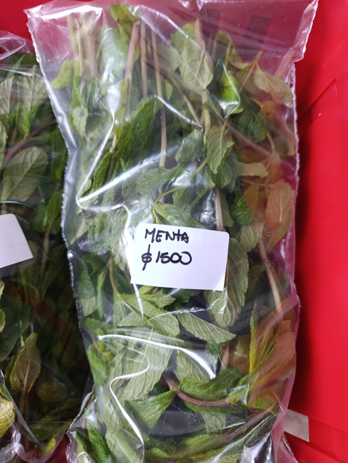 Menta Fresca