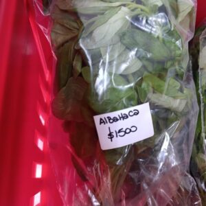 Albahaca Fresca